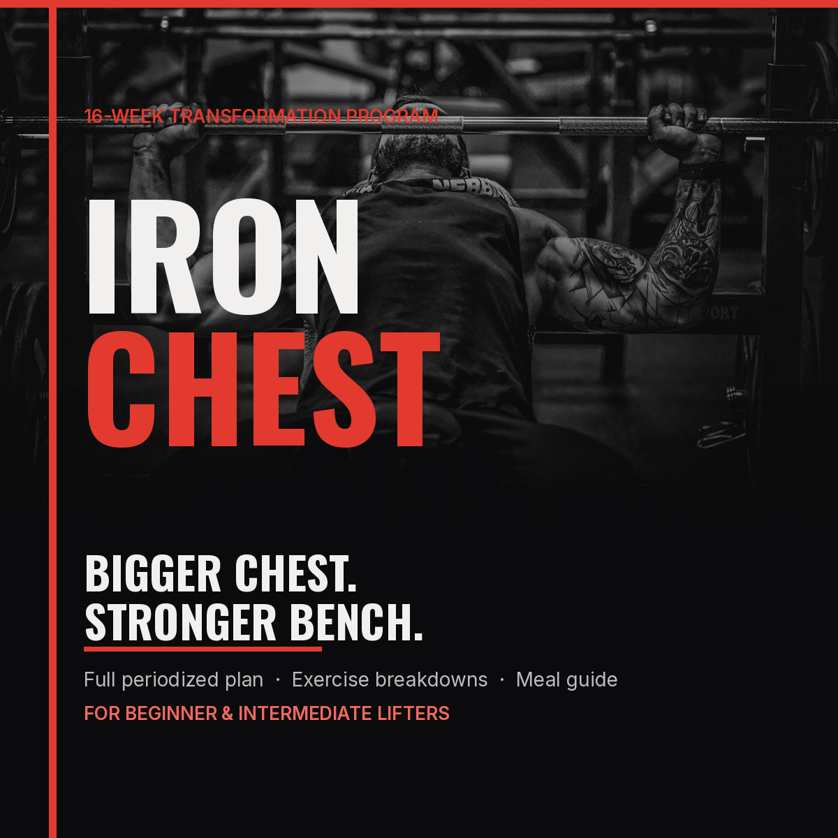 Iron Chest - 16-Week Bigger Chest & Stronger Bench Program